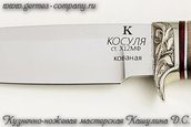 Нож Х12МФ Косуля, рукоять из ореха фото 4