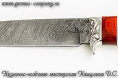 Нож из дамаска Косуля, рукоять падук + береста фото 4