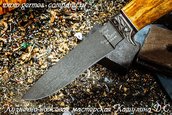 Нож Клык - булатная сталь, стабилизированное дерево, прямые спуски фото 2